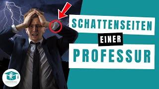 Was sind negative Seiten an der Arbeit als Professor? (weiß kaum jemand)