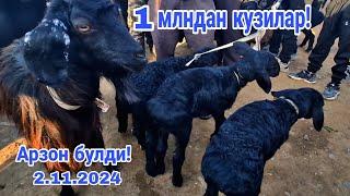 Ковчин куй бозори нархлари 2.11.2024