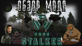 ️[Обзор] TRUE STALKER / Мод тру сталкер