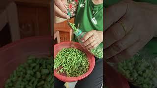Rural-style sour beans preservation