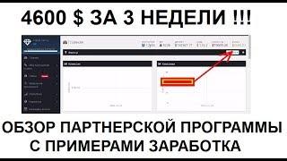 4600$ за 3 недели  Обзор зарубежных партнерских программ и реального примера заработка