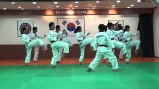 TAEKWONDO POOMSAE TAEGEUK 2 / I JANG/ 2 태극2장 WITH MASTER KANG JAE JIN