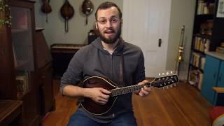 Beginner Mandolin Lessons Series (Part Three): Basic Strum Pattern