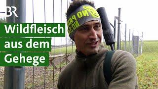 Wohin mit dem Wildfleisch? Mit Direktvermarktung von Wildbret zum Erfolg | Unser Land | BR