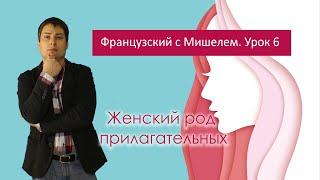 Урок французского языка 6. Французский с Мишелем. Женский род прилагательных.