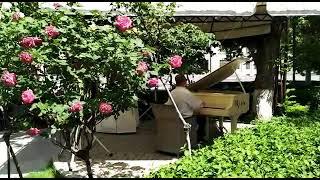 Armenian Piano (to Irina) by Garri Ayvazian - Mikayel Gabrielyan - Rich Cafe 2021