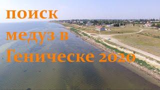 Медузы в Геническе летом 2020 ? Поиск с дрона !