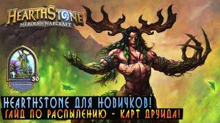 Hearthstone Новичкам: Гайд по распылению карт Друида.[Хартстоун]