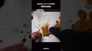 K9Cookies gone WRONG│K9Kuro