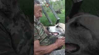Булчут и его охотничья заимка/Bulchut and his hunting catch #якутия #россия #заимка #собака #охота