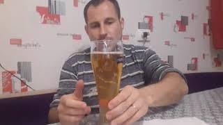 Дегустация PILSNER (ПИЛСНЕР)