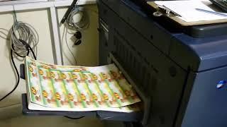 Product Stickers Printing - PrinTarzan