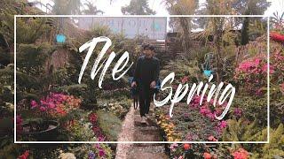 The Spring [ Botanical Garden, Giza & Al Azhar Park ]