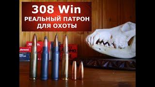 308 Win реальный патрон для реальной охоты!  Почему?