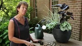 Container watering tips and tools