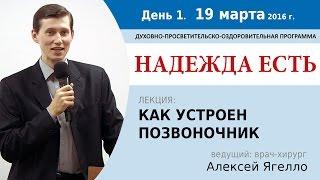 День 1. Лекция "Как устроен позвоночник". Алексей Ягелло