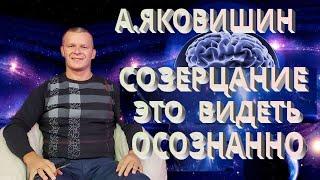 Андрей Яковишин. Созерцание это видеть осознанно