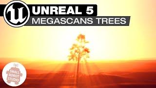 Unreal 5 Importing Megascans Trees Tutorial