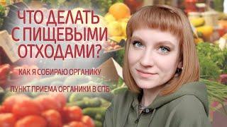 Что делать с пищевыми отходами в СПб? Как я собираю органику? Пункт приема органики в Петербурге.