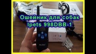 Электронный ошейник для дрессировки  собак Ipets 998DBB-1/ распаковка и обзор с Aliexpress