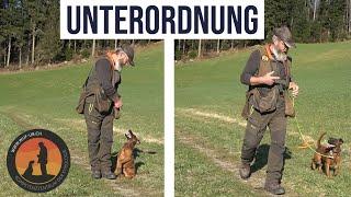 Training mit einem "Problemhund" - Tipps und Tricks zur Unterordnung | Hundeschule U.B.