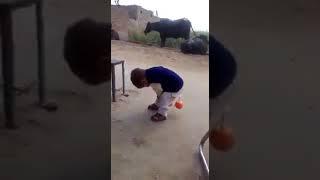 Funny videos 4