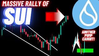 Massive Rally Of SUI Crypto Coin