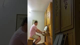 Oleksandr Fedorchenko: "Arioso" by Johann Sebastian  Bach