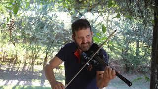 Dance Monkey  - Tones and I (Eduardo Gomes Violin Cover)
