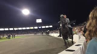 Owner-Amateur World Grand Championship Class (Canter) - TN Walking Horse Celebration - Sep. 5, 2020