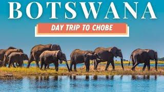 Epic Day Trip from Victoria Falls: Safari in Botswana’s Chobe National Park