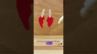 Как поделить имущество при разводе?  #адвокат #советы #совет #развод #юрист