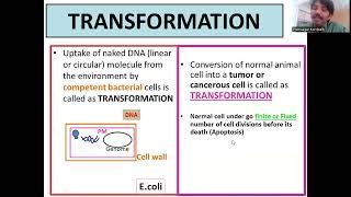 What is Transformation: Bacterial and Eukaryotic, Cancer @Dr.DNA-Primer