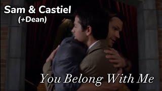 Sam & Castiel (+Dean) || You Belong With Me ||