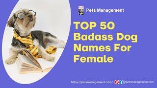 Top 50 Badass Dog Names For Female