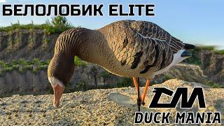 Обзор на гусиные чучела Duck Mania | Краш-тест на краску #гусиныечучела #манокнагуся #охотанагуся