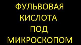 Как кровь реагирует на фульвовую кислоту. Врач про фульвовую кислоту. Фульвовая кислота