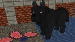 WOLF LIFE #3 - Minecraft Animation