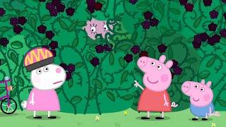 Peppa Pig Nederlands | Braamstruik | Tekenfilms voor kinderen