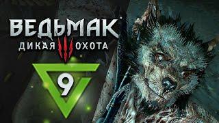 ОБОРОТЕНЬ Ведьмак 3: Дикая Охота - прохождение - #9 - Максимальная сложность