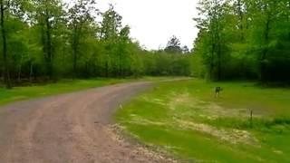 Homes for Sale - XXX Foothills Dr Lot 8 Blk 1 Deerwood MN 56444 - Vern Lewis