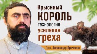 Крысиный король - технология усиления греха (прот. Александр Проченко) @r_i_s