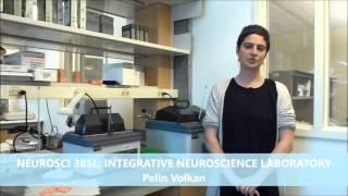 NEUROSCI 385L: Integrative Neuroscience Laboratory - Spring 2016