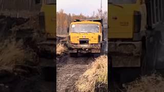 #offroad74 #уральскаязасада #татра