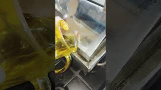 Копченный сыр дома в коптильне на газовой плите. #коптильня #копченый сыр