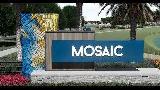 ICI Homes Mosaic Amenities and Community