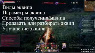 Полный гайд по экипировке в Astellia online