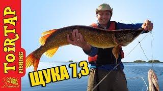 ХИТРАЯ ПРИМАНКА на ЩУКУ!! Как поймать ЩУКУ!! Все СЕКРЕТЫ на щуку!