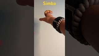 King Simba