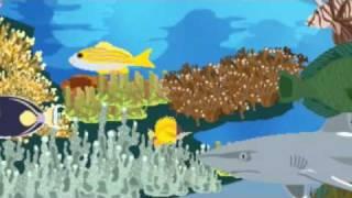 Long-Nose Butterflyfish Feeding Movie